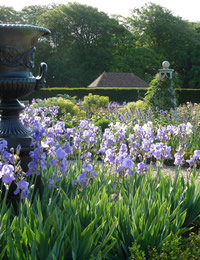 Hampshire garden design